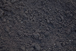 Black Top Soil